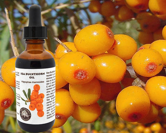 Sea Buckthorn Berry Oil – Antioxidant-Rich Skincare Powerhouse